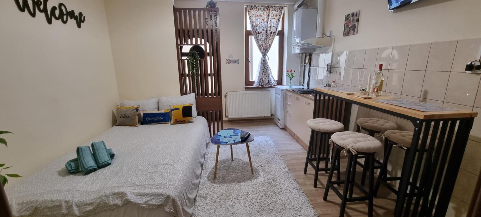 Happy Mood Apartment 5 布拉索夫 客房 照片